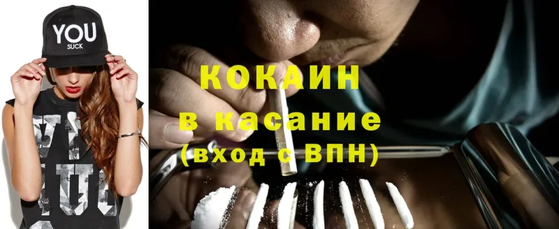 Cocaine Fish Scale  blacksprut ONION  shop официальный сайт  Ардатов 